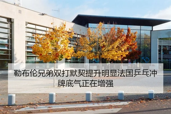 勒布伦兄弟双打默契提升明显法国乒乓冲牌底气正在增强